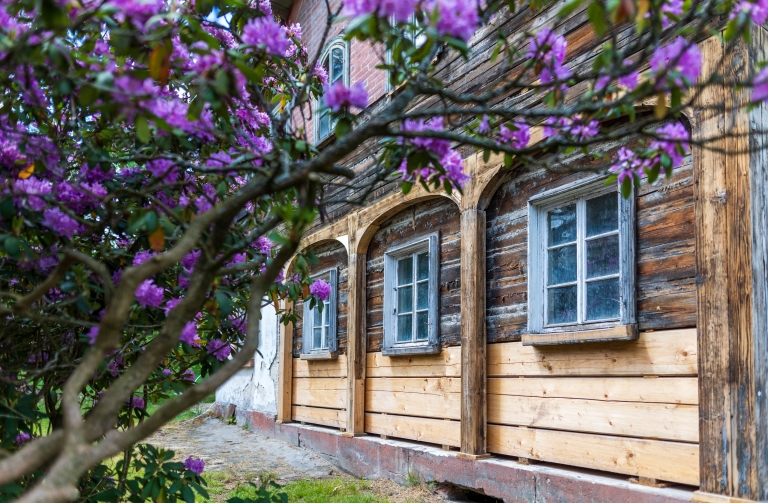 PODSTÁVKY (2)
